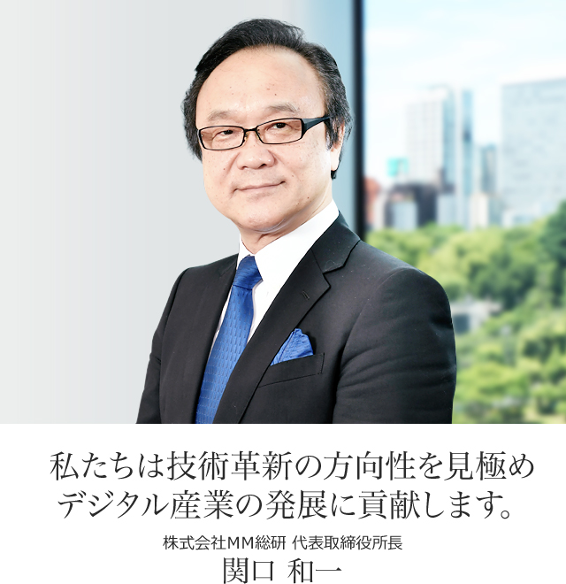 株式会社ＭＭ総研 代表取締役所長 関口 和一