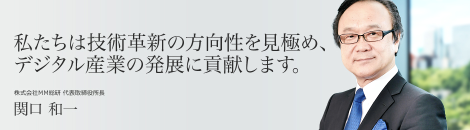 株式会社ＭＭ総研 代表取締役所長 関口 和一